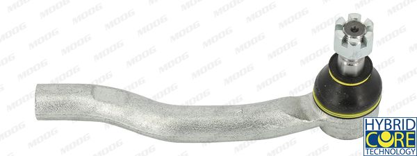 MOOGNI-ES-4925