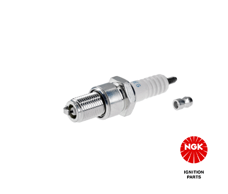 NGKBR9EG