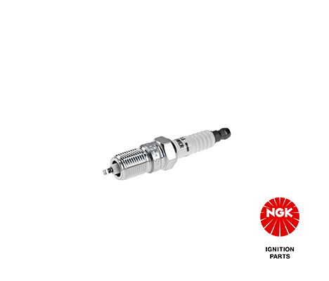 NGKTR55