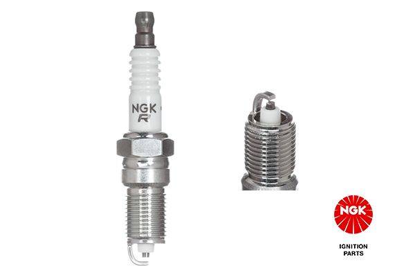 NGKTR55