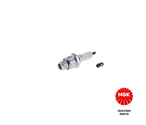 NGKBR7HS