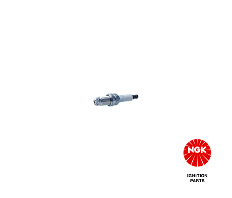 NGKZFR6S-Q