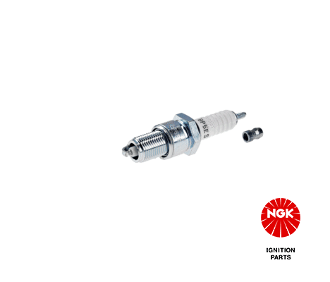 NGKBP5ES