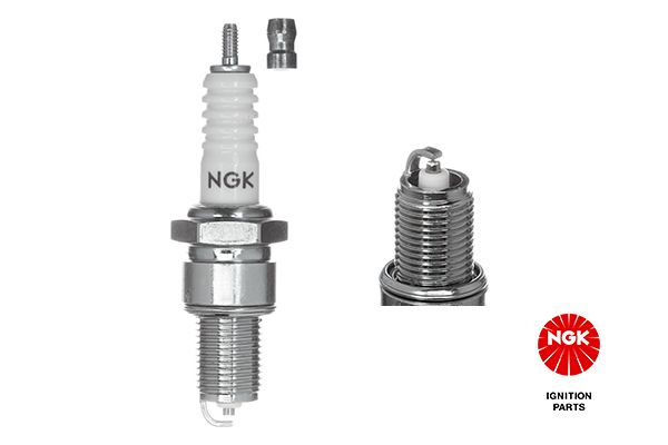 NGKBP5ES