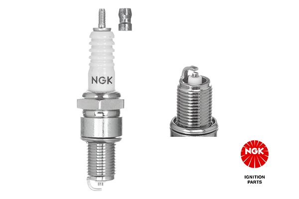 NGKBP5ES