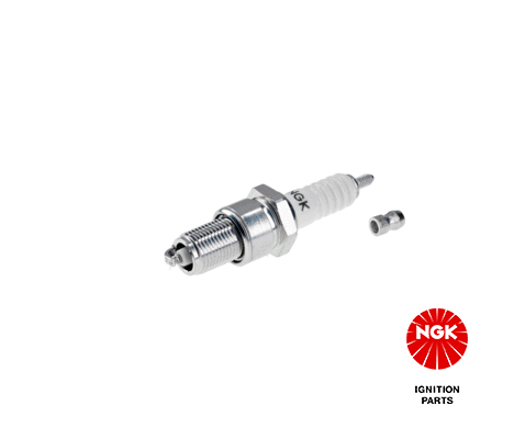 NGKBP6ES