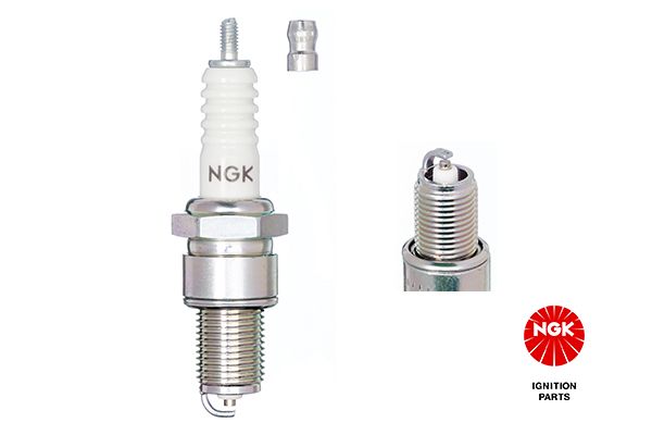 NGKBP6ES