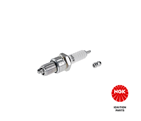 NGKBP6ES