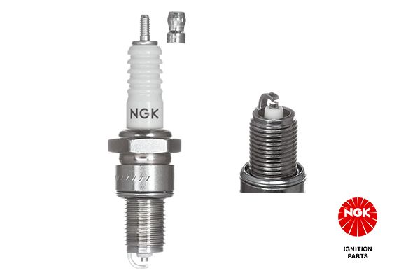 NGKBP6ES