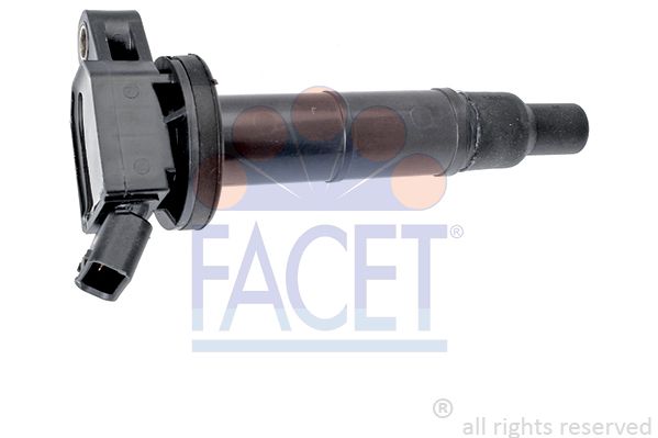 FACE96366