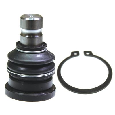 BIRTCX0181