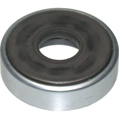 BIRT5208/C