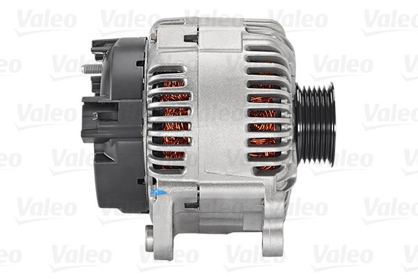 VALE439557