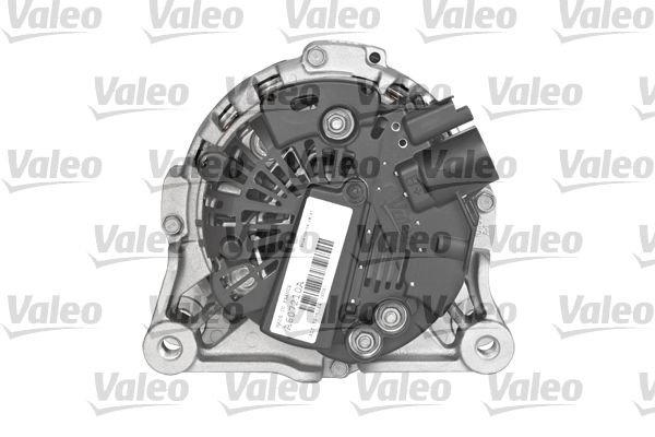 VALE439692