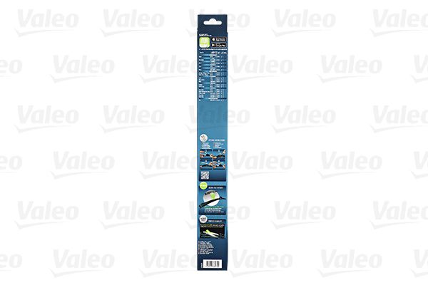 VALE578570