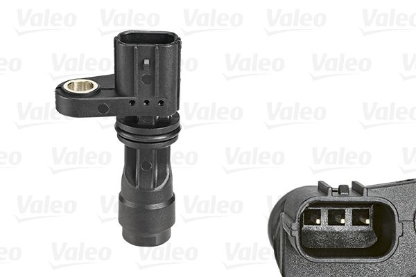 VALE254077