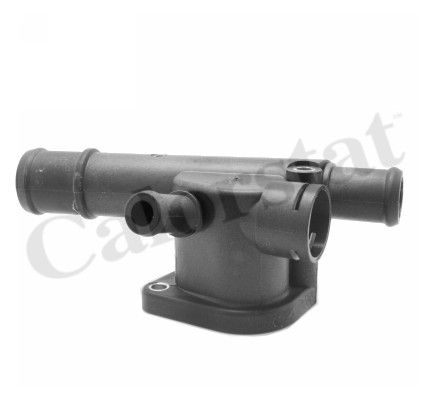 VERNWF0031