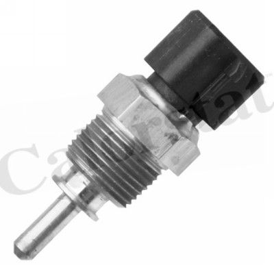VERNWS3101