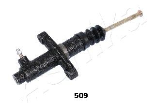 ASHI85-05-509
