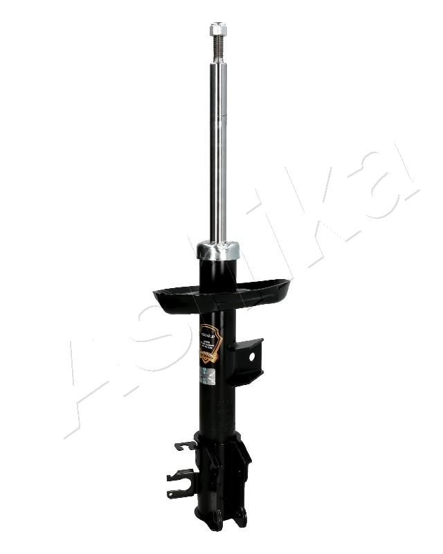 ASHIMA-01076