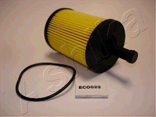 ASHI10-ECO023