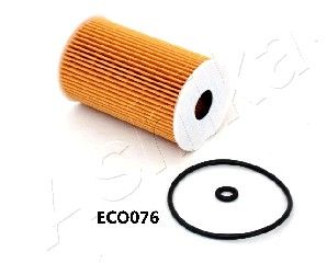ASHI10-ECO076