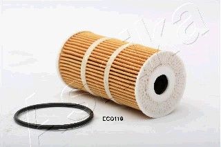ASHI10-ECO119