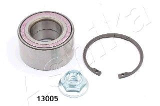 ASHI44-13005