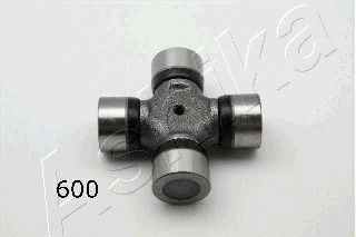 ASHI66-06-600
