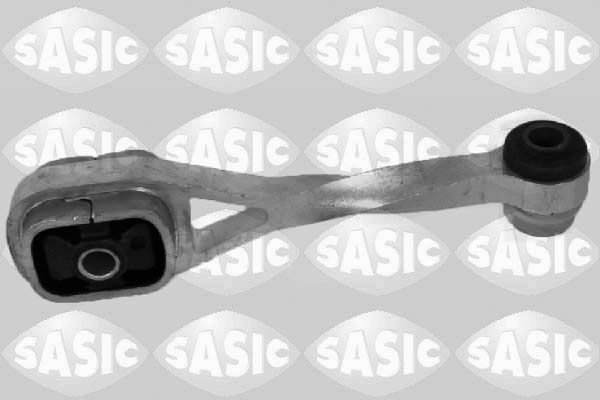 SASI4001759