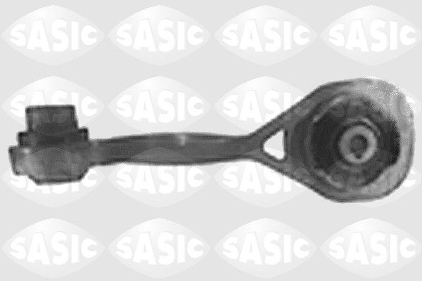 SASI4001793