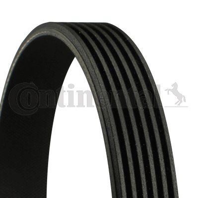 CONT6PK1050