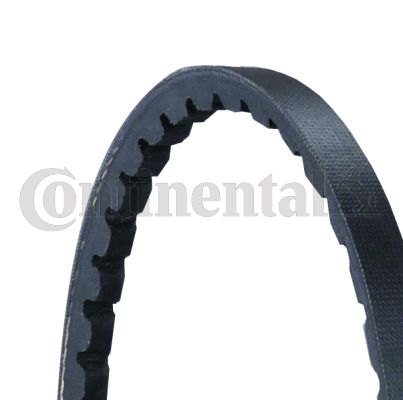 CONTAVX10X900