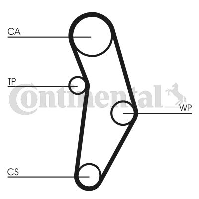 CONTCT1049WP1