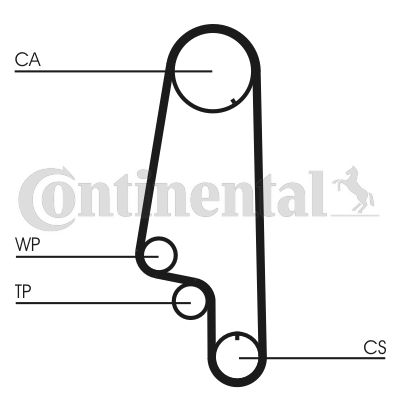 CONTCT846WP2