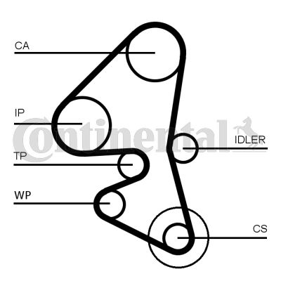 CONTCT1163WP1