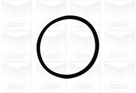 GRAFPA1060