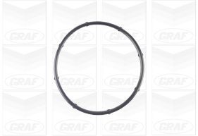 GRAFPA1125