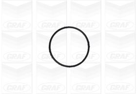 GRAFPA1155