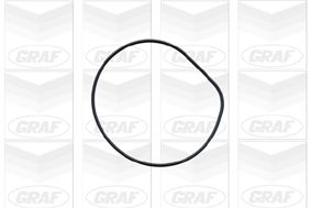 GRAFPA426