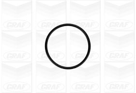 GRAFPA879