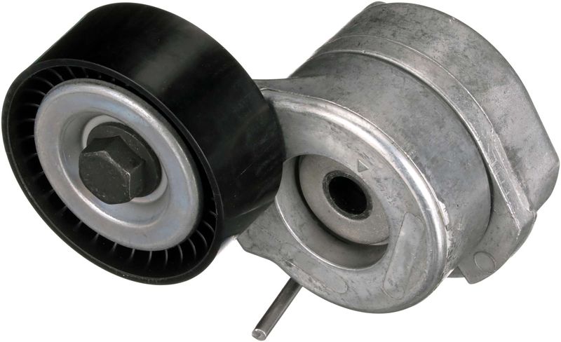 GATET38440