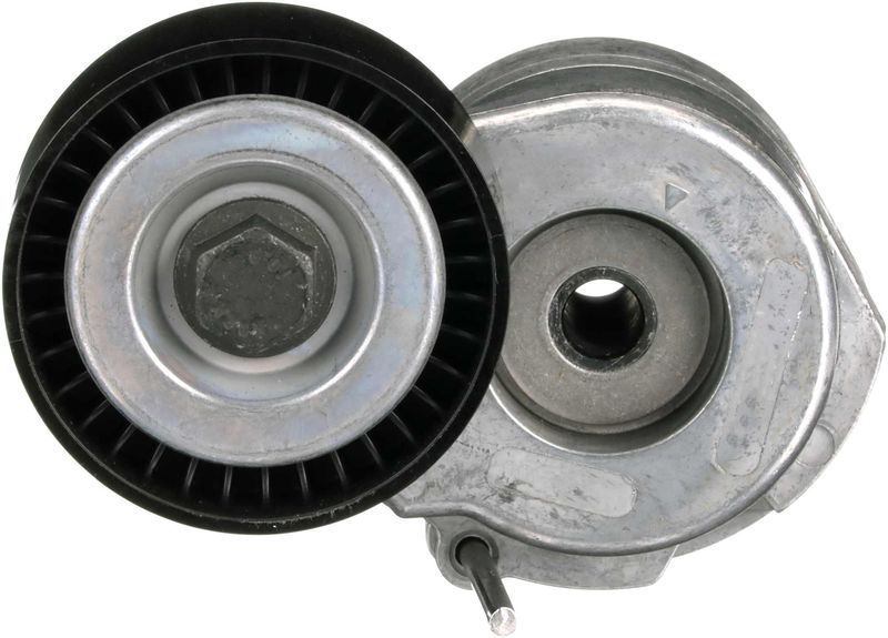GATET38440