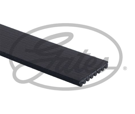 GATE6PK893XS