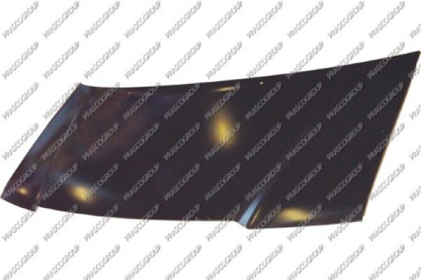 PRASFT9223100