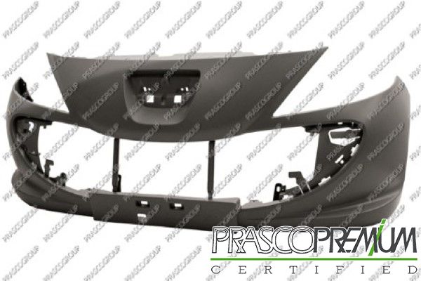 PRASPG0111001