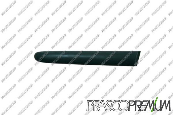 PRASPG3201243