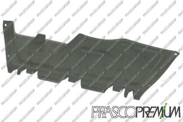 PRASAD0161910