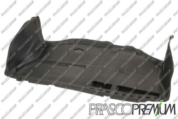 PRASCI9501900