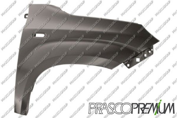 PRASFT1243013